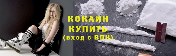 прущие грибы Наволоки