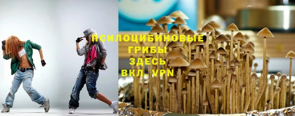MDMA Premium VHQ Аркадак